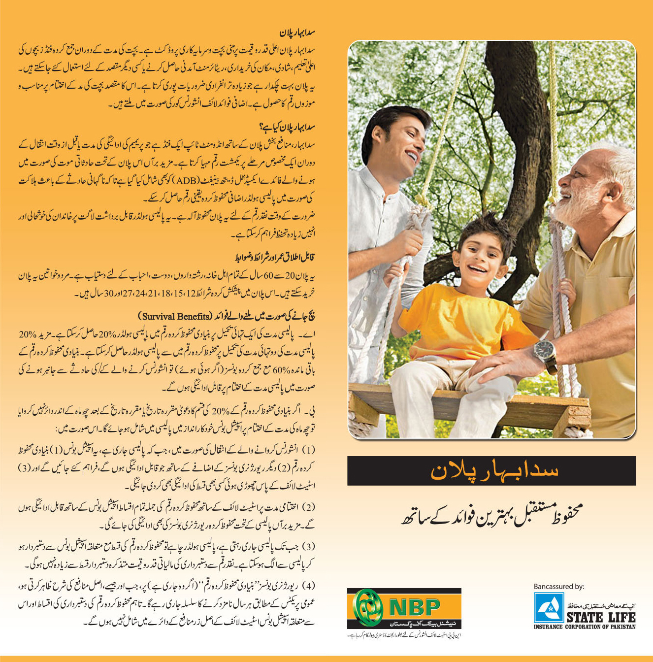 State Life Insurance Policy In Urdu Wholesalerhinomountsa31969